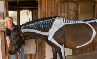 Kenntnisse der Anatomie sind auch in der Pferdeausbildung wichtig – denn jeder Organismus ist nur so stark wie seine schwächste Stelle, und die sollte man erkennen können.