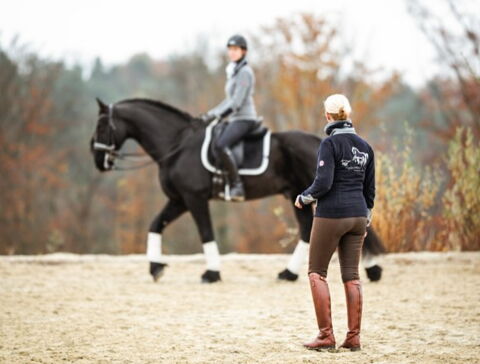 Ein guter Trainer kann das Exterieur eines Pferdes ,lesen' – und mögliche Probleme frühzeitig erkennen. / Foto: Sabrina Mallik