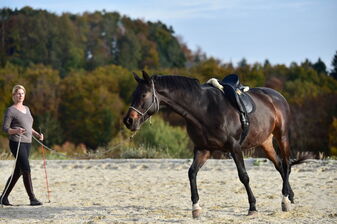 Gundula longiert Fibi