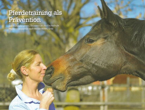 Pferdetraining als Prävention