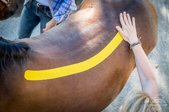 Tapeanlage für die Rückenlendenbinde (Fascia Thorakolumbale) / Foto: Katharina Gerletz Tapeanlage für die Rückenlendenbinde (Fascia Thorakolumbale) / Foto: Katharina Gerletz