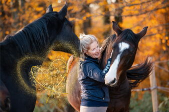 Pferd liegt in einer Box