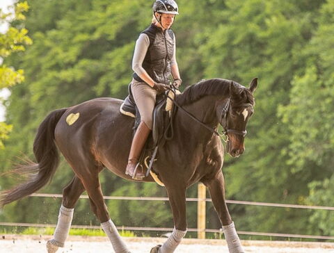 Gundula trainiert ein Pferd