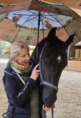 Jungpferdetraining mit Donkor
