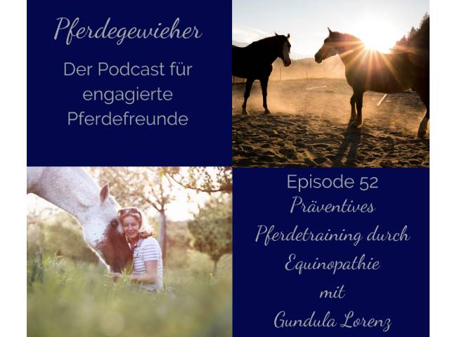 Podcast: Präventives Pferdetraining durch Equinopathie