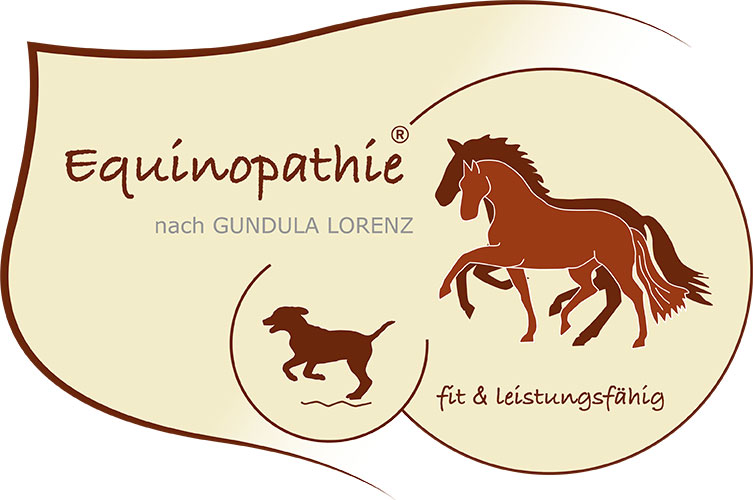 Equinopathie